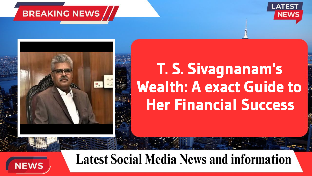 T. S. Sivagnanam's Wealth: A exact Guide to Her Financial Success